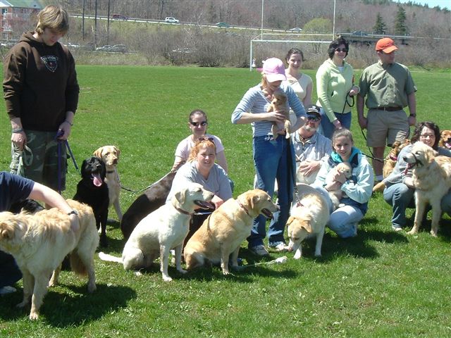 image003