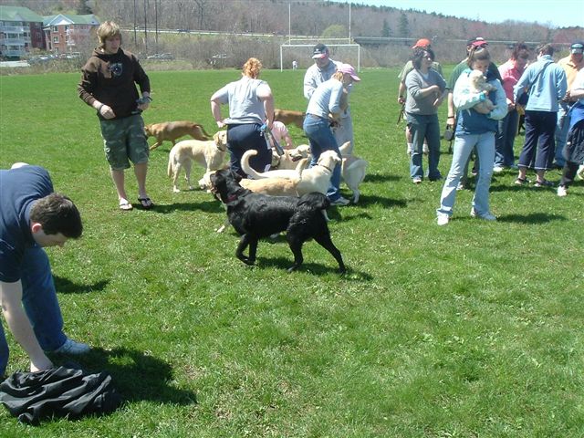 image007