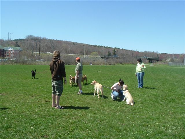 image009