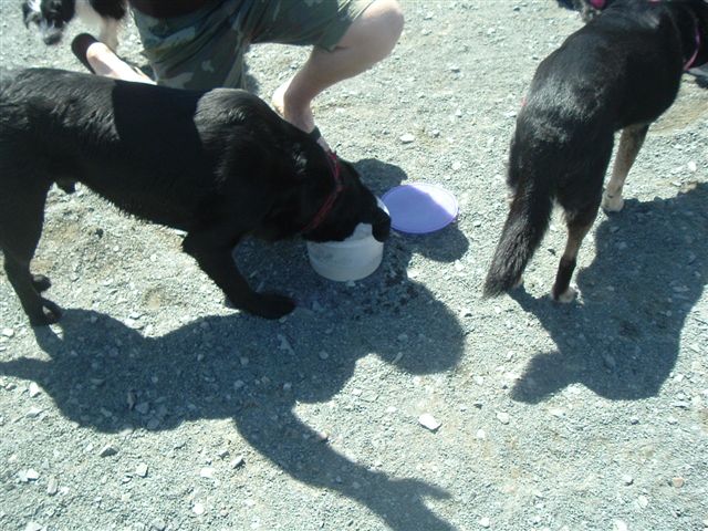 image013
