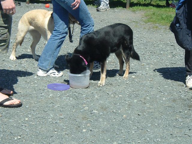 image014