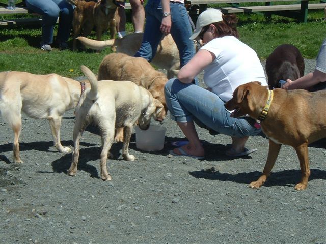 image015