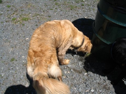 image020