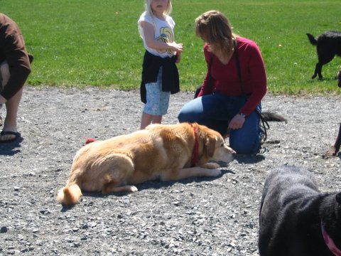 image022
