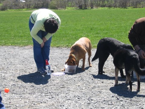 image024