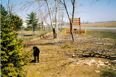 Picture 025